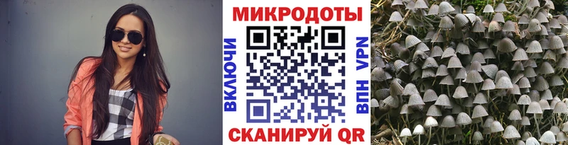 Псилоцибиновые грибы Psilocybine cubensis как найти закладки Артёмовск